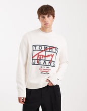 Load image into Gallery viewer, Tommy Jeans signature jumper
