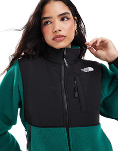 The North Face Retro Denali fleece jacket green