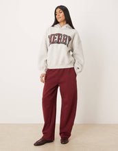 Load image into Gallery viewer, Abercrombie &amp; Fitch holiday graphic hoodie grey