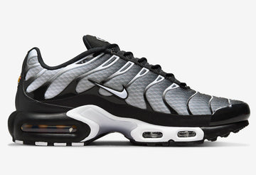 Nike Air Max Plus Black Silver White