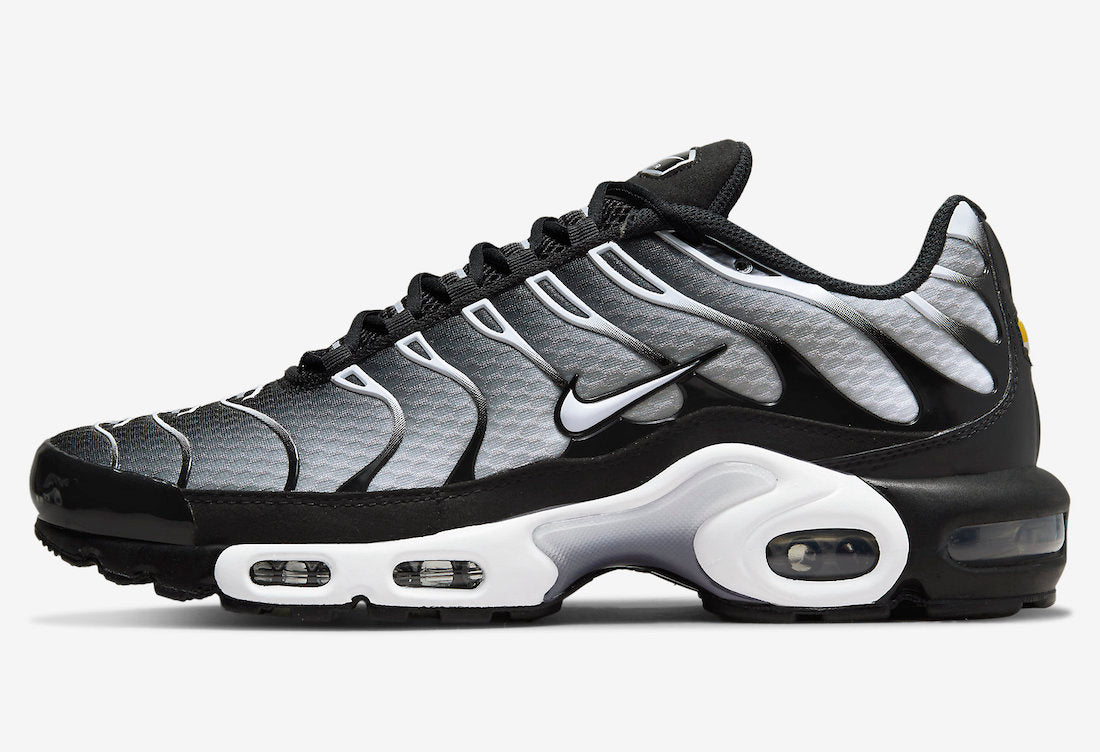 Nike Air Max Plus Black Silver White