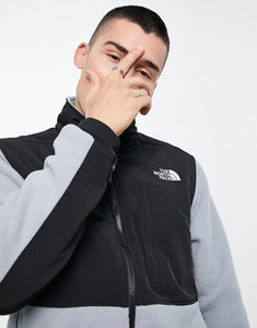 The North Face Denali 2 fleece jacket grey