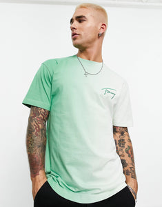 Tommy Jeans signature logo ombre t-shirt green