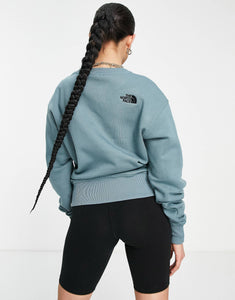 The North Face sweatshirt grey blue