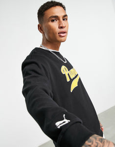 Puma varsity logo