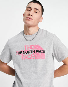 The North Face Graphic grey