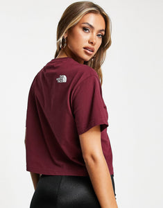 The North Face Simple burgundy